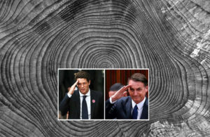 floresta_bolsonaro_salles