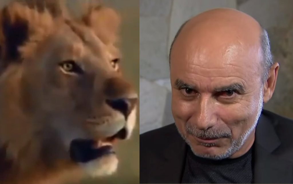 queiroz-leao