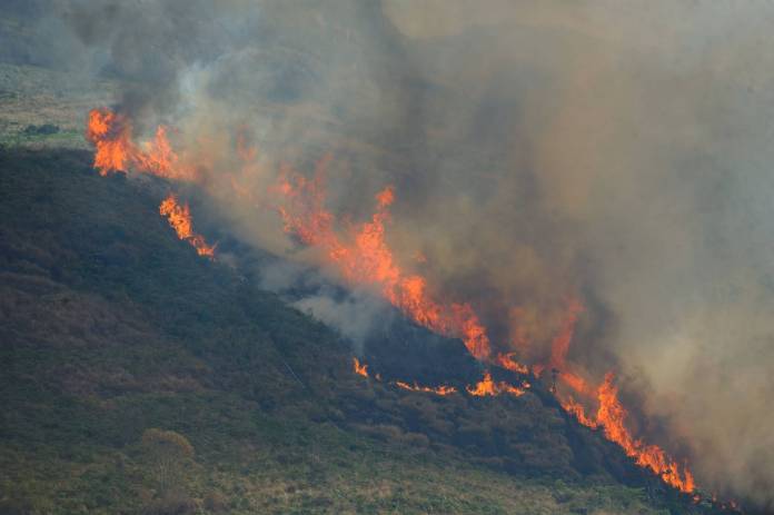 dia-do-fogo-chamas-acendem-suspeitas-no-municipio-amazonico-novo-progresso-queimadas-fernando-frazao-agencia-brasil-696x463