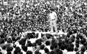 greve-1980