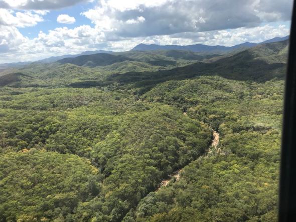 miombo-forest-1 (1)