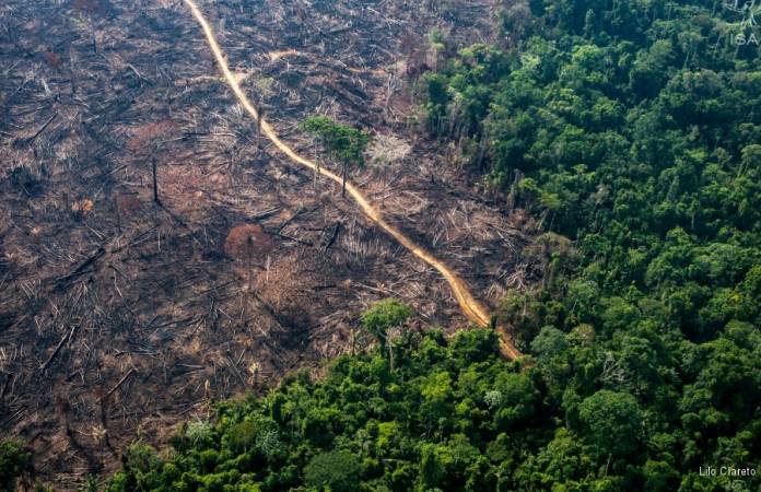 desmatamento-dispara-no-xingu-por-acoes-do-governo-bolsonaro-aereas-4679-0-696x450