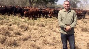 a-historia-mal-contada-de-dario-messer-e-os-marinho-images-1