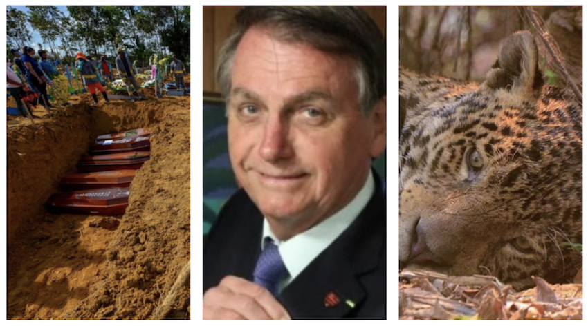 captura-de-tela-2020-09-17-axxs-11.02.46