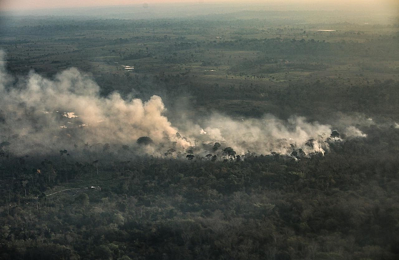 Queimadas perto de Rio Branco em 27/08/2020 (Foto: Sérgio Vale/Amazônia Real)