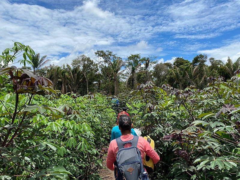 image_processing20210309-1558-13qs9qt