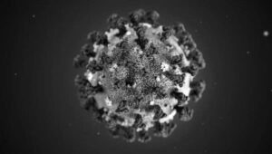 coronavirus-3-600x339