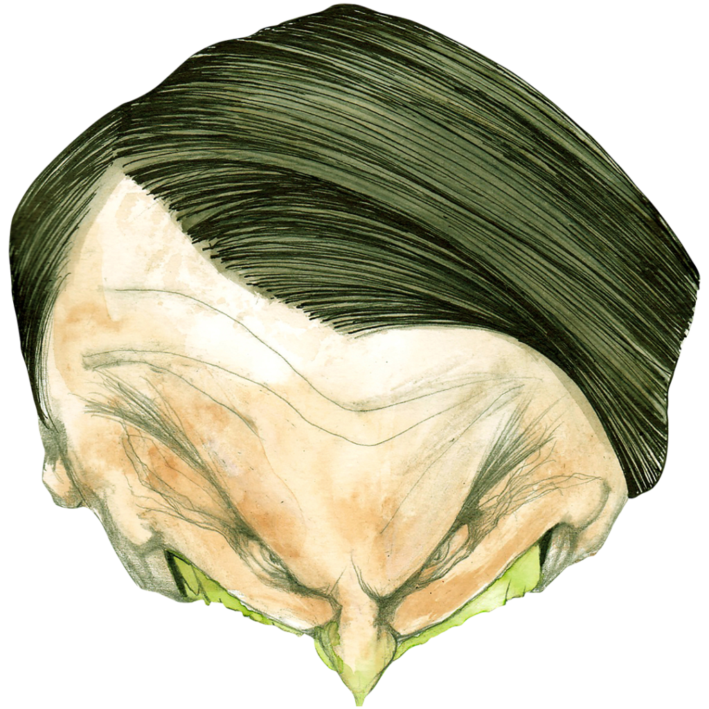 jbolsonaro