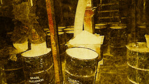 image_processing20211123-32129-1ci9b9q