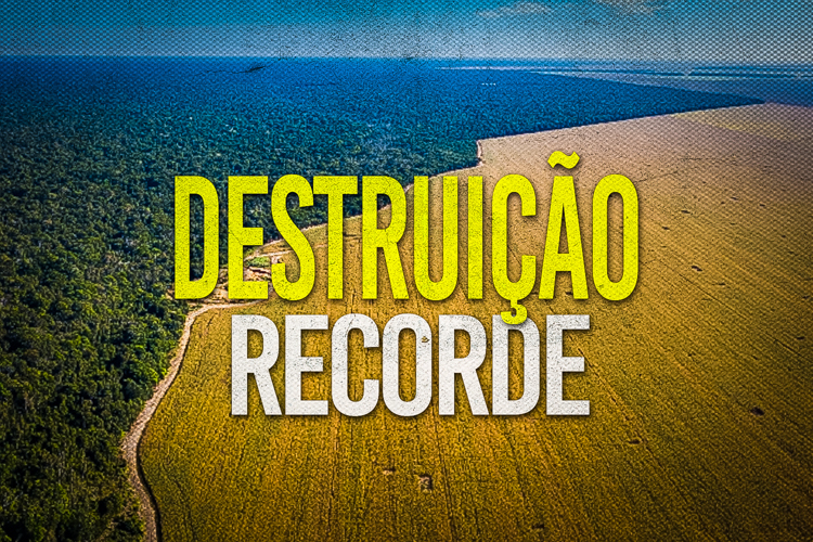desmatamento-destruiccca7ao-recorde-2