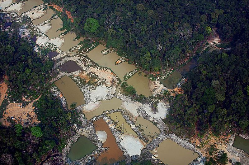 Sobrevoo no Pará (Foto Marizilda Cruppe/Amazônia Real/17/09/20