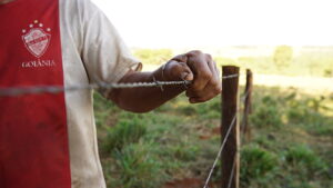 image_processing20220414-23666-k39q4g