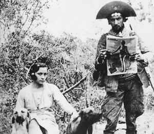 image_processing20220728-4411-1wapwoi