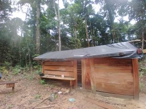 image_processing20221206-11986-1tqo3ze