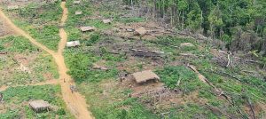 image_processing20221217-11986-ge5a