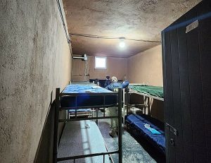 image_processing20230301-32601-1gjhq72