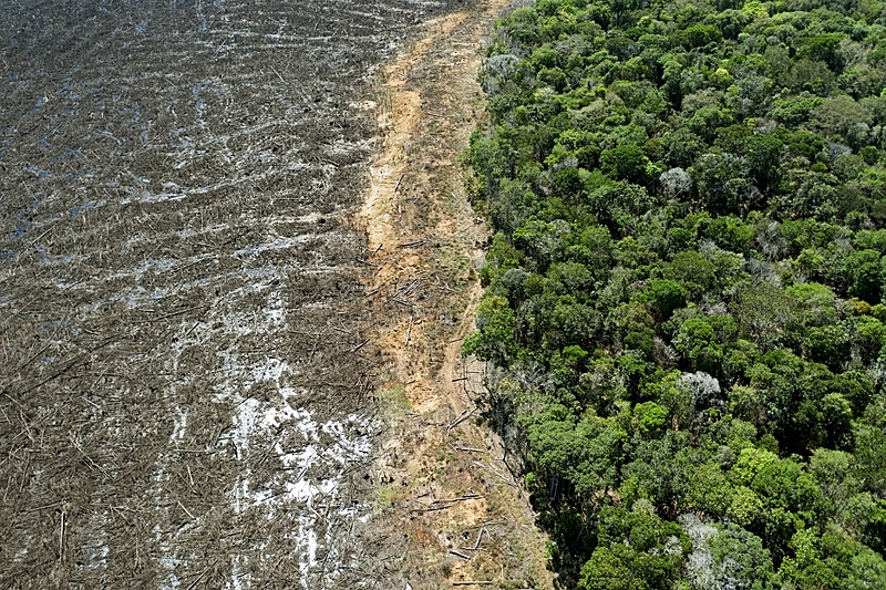 FILES-BRAZIL-ENVIRONMENT-FORESTS-DEFORESTATION