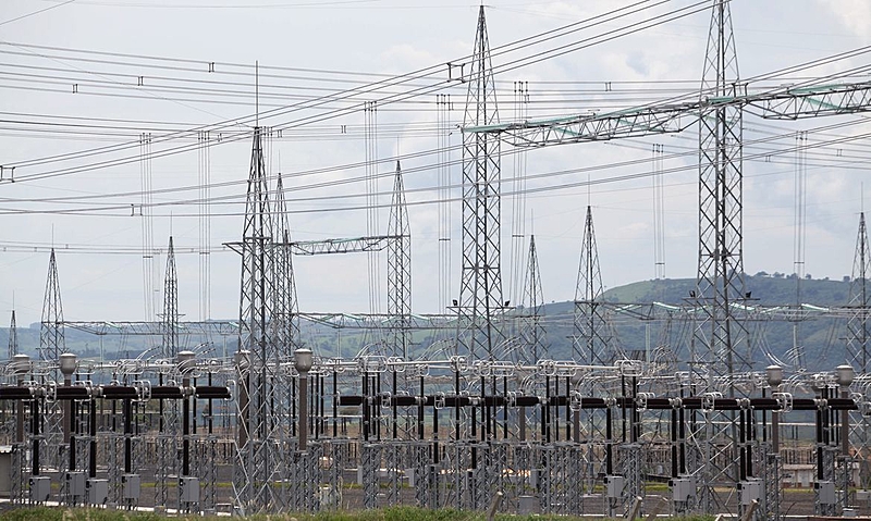 image_processing20230815-12127-qawac0