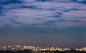 image_processing20230923-13573-etqa3c