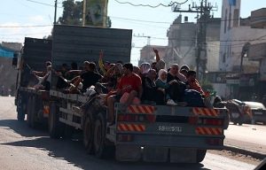 image_processing20231013-13039-1hczgd8