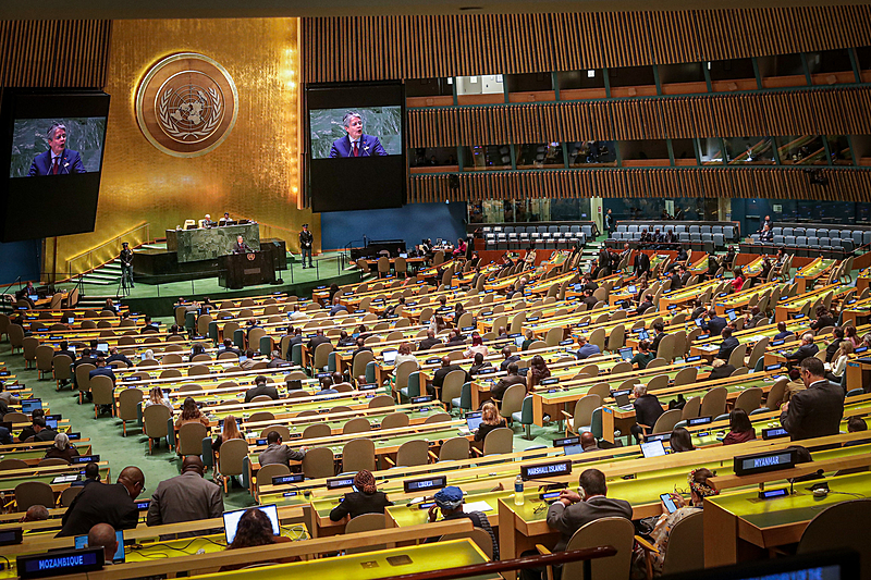 image_processing20231023-20294-j5mu97