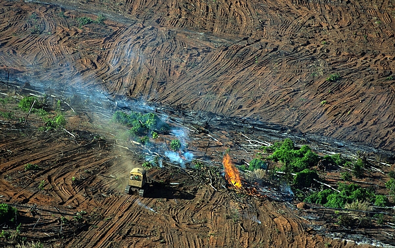 Deforestation and Fire Monitoring in the Amazon in July, 2020Monitoramento de Desmatamento e Queimadas na Amazônia em Julho de 2020