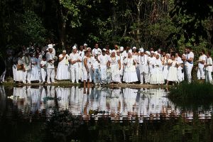 image_processing20231122-19525-1tr8v3y