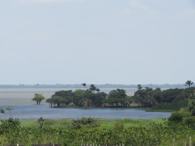 Tiningu-Pedro-Martins