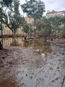 image_processing20240524-259422-as4iox