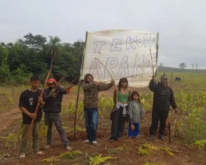 image_processing20240717-2402023-o0uqiz