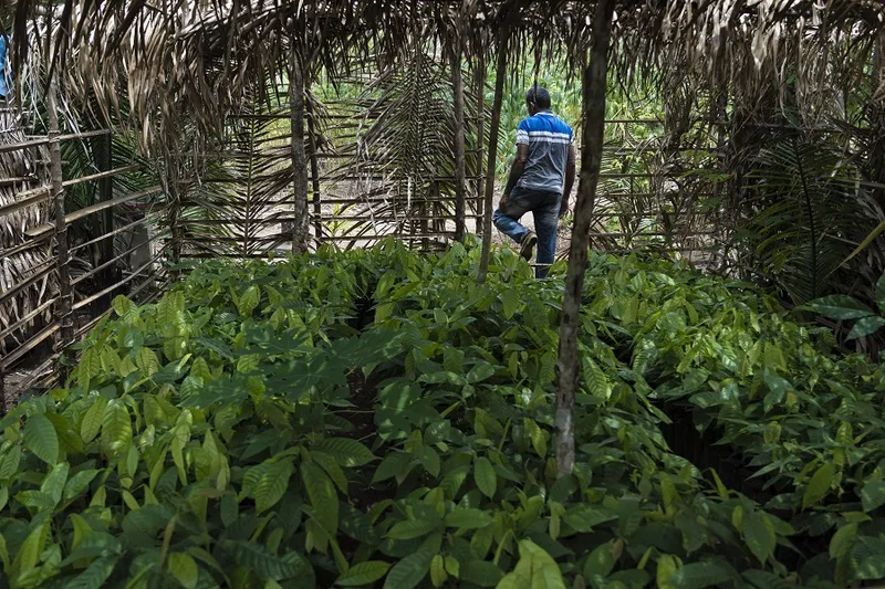 image_processing20240813-340869-t1pbrj