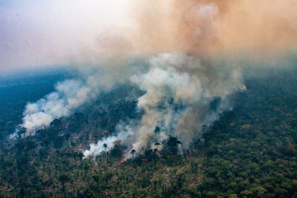 fabio-bispo-fogo-amazonia-4