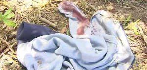 20250111190156_c66937255239e50288437088cc3dc82fa7d1fbdbc2a5a4ba9963110736ed6ef7