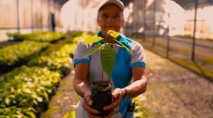 image_processing20250107-4033574-239qw4