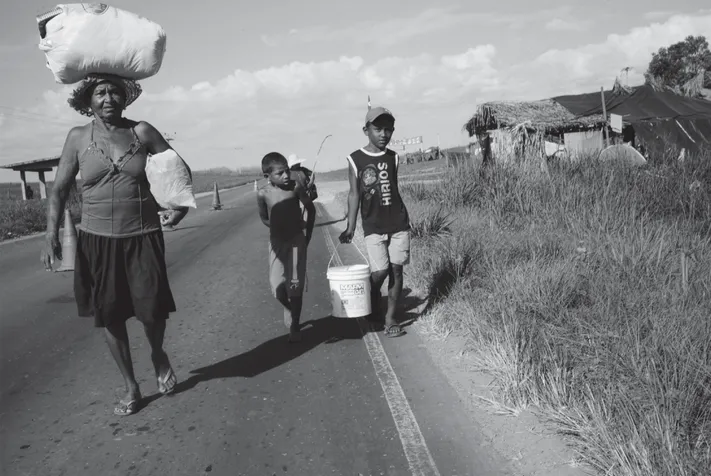 image_processing20250109-4033574-n779sh