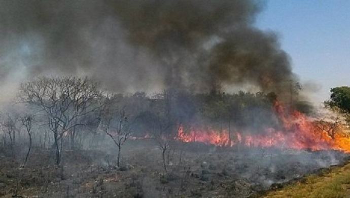 senado-vai-debater-desmatamento-e-aumento-de-queimadas-na-amazonia-mas-exclui-inpe-da-conversa-queimadas-amazonia-josecruz-abr