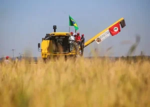 festa-arroz-mst-750x536