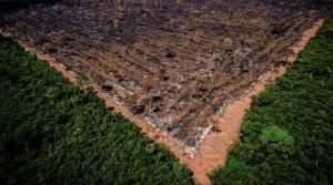 catastrofe-das-queimadas-e-politica-elite-tambem-queria-voltar-a-devastar-florestas-por-gustavo-conde-amazonia-aumento-desmatamento-marco-conexao-planeta