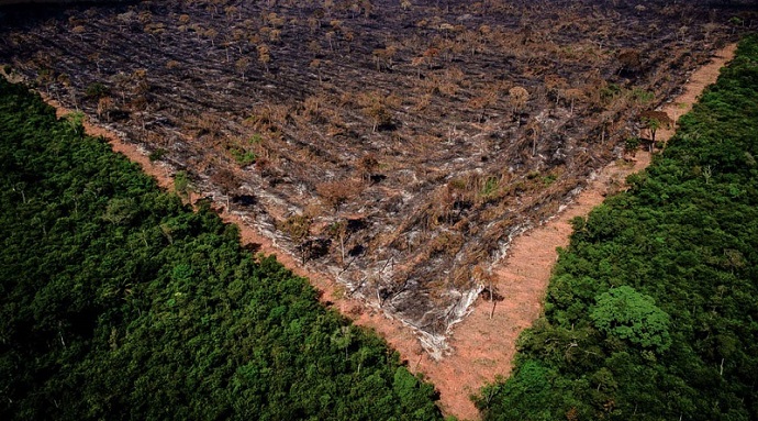 catastrofe-das-queimadas-e-politica-elite-tambem-queria-voltar-a-devastar-florestas-por-gustavo-conde-amazonia-aumento-desmatamento-marco-conexao-planeta