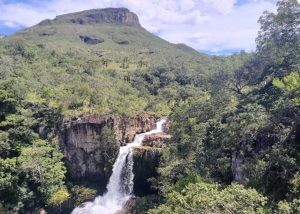 bdf-20250528-231541-d8483e-1140x815