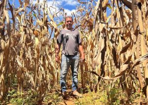 bdf-20250618-001707-3e602f-750x536