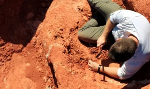 excavation_at_the_buriol_site_3_by_janaina_brand_dillmann