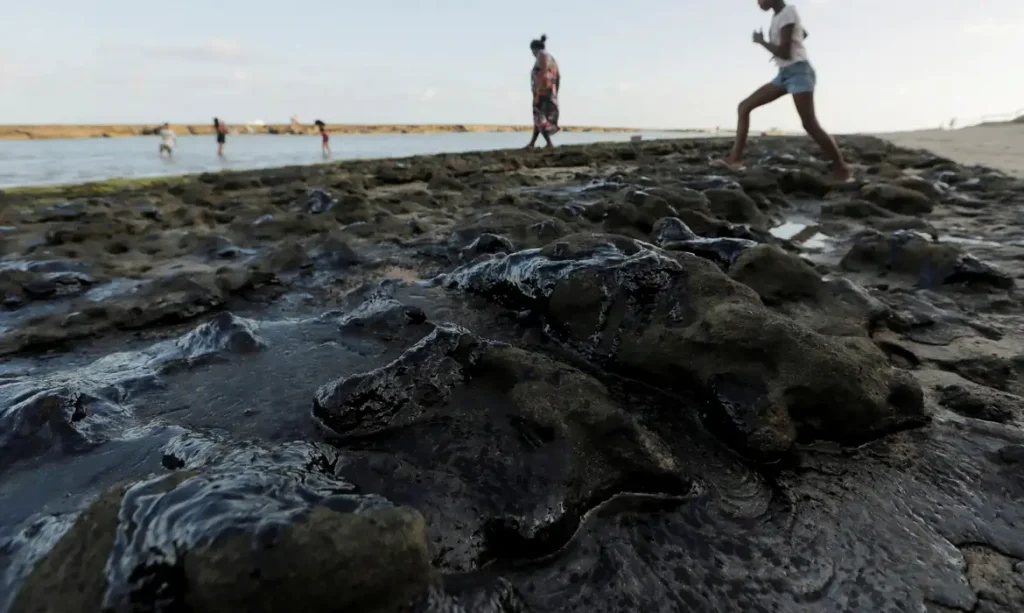 2019-10-08t224319z_95601330_rc1101698dc0_rtrmadp_3_brazil-environment-oil-bolsonaro
