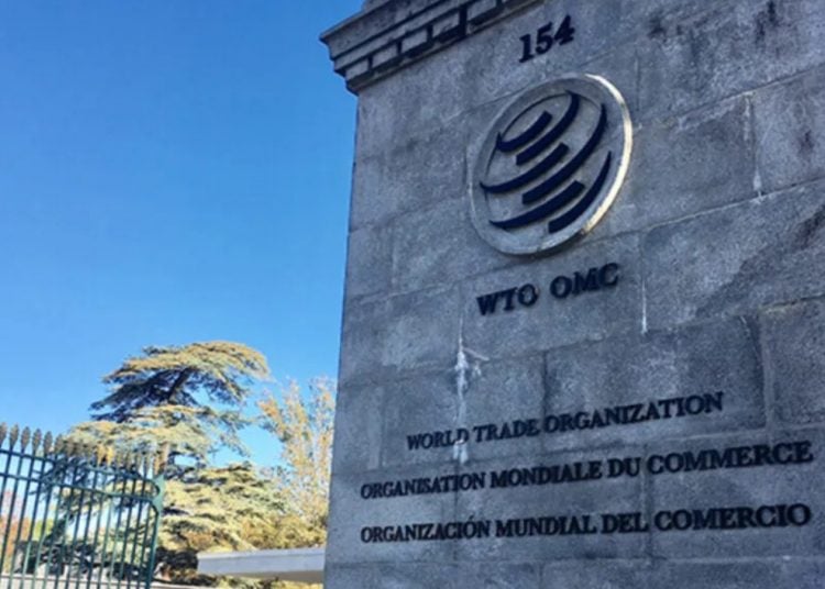 bdf-20250723-181741-536181-750x536