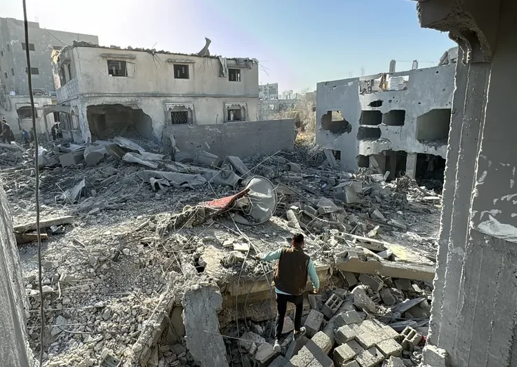 image_processing20241027-3295936-nd8c56-750x533