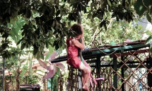 quintal_da_sede_do_tear_no_site_do_instituto