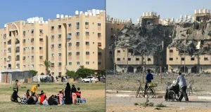 image_processing20250120-563332-2dix1v-750x400