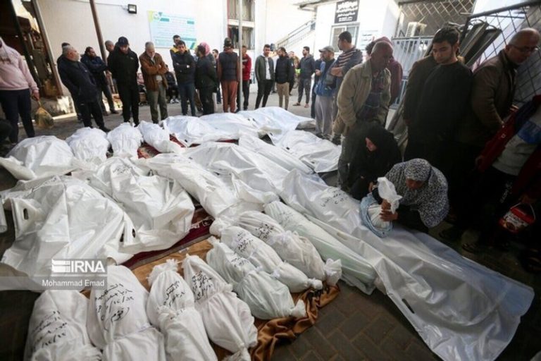 palestina4-768x512