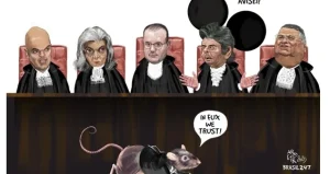 aroeira-rato-fux