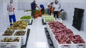 bdf-20250516-051645-d8b5ae-1023x570